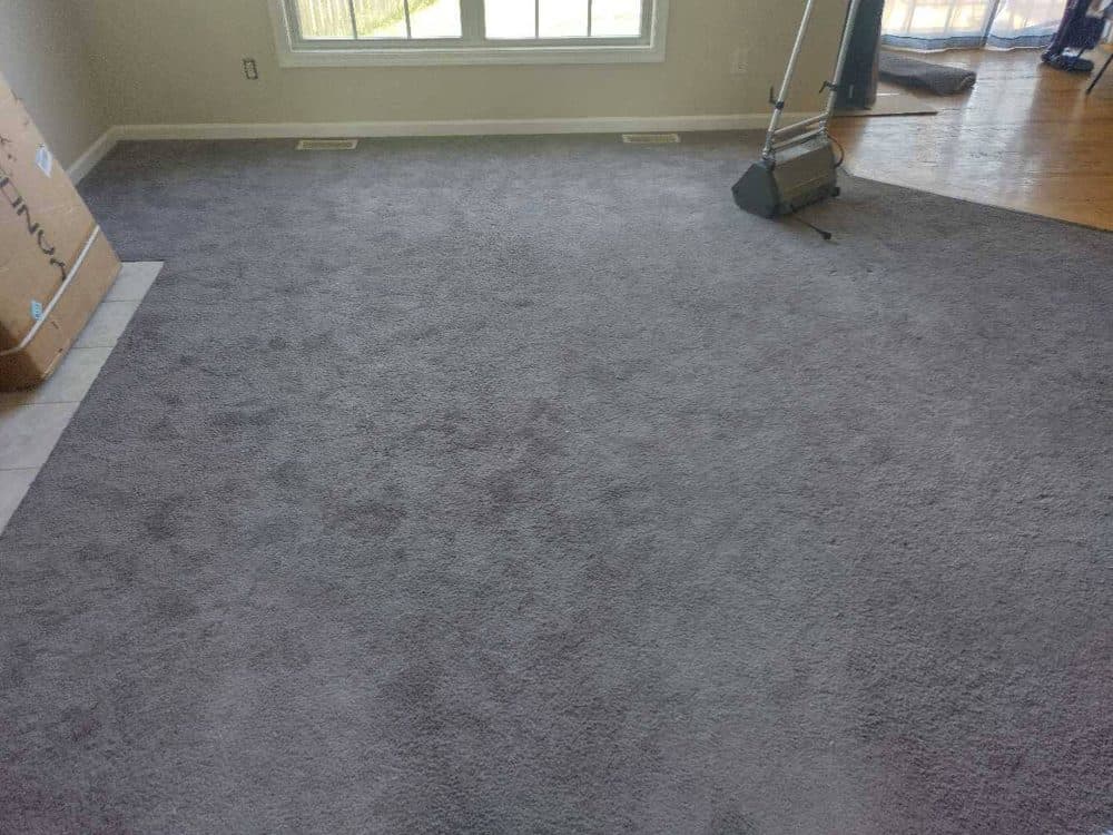 Carpet Cleaning San Juan LLC recent job 1