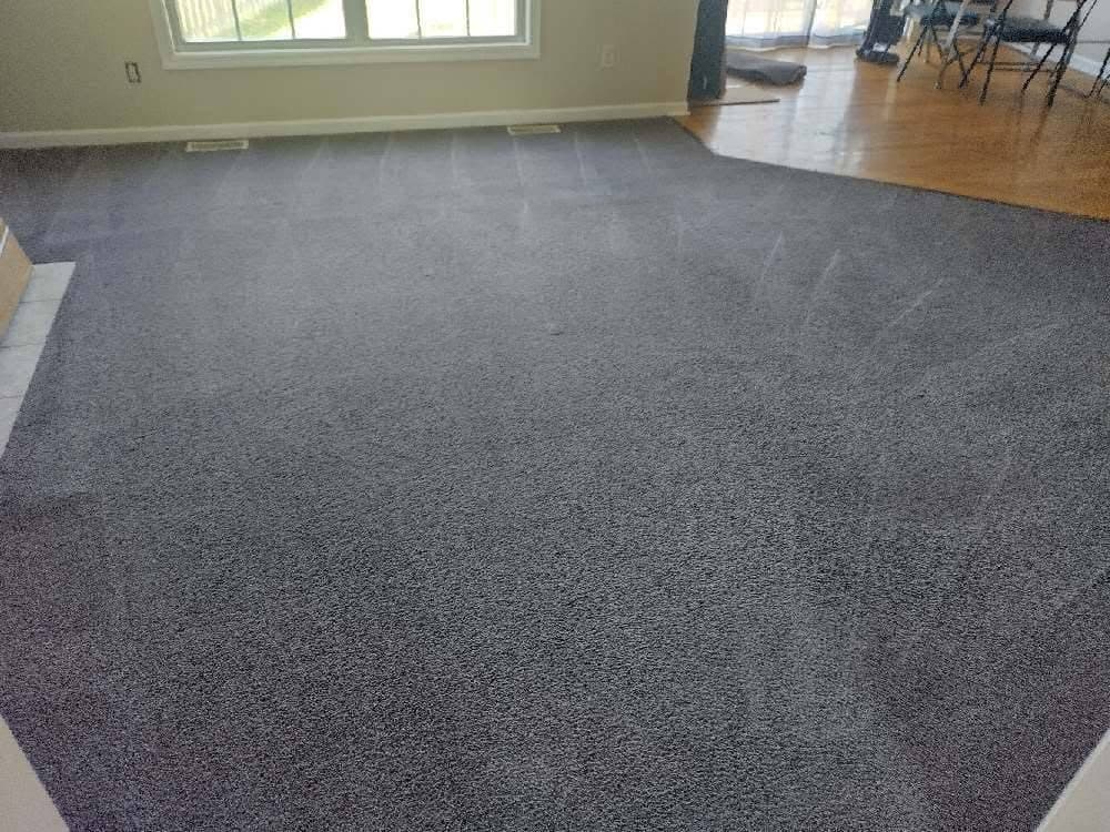 Carpet Cleaning San Juan LLC recent job 2