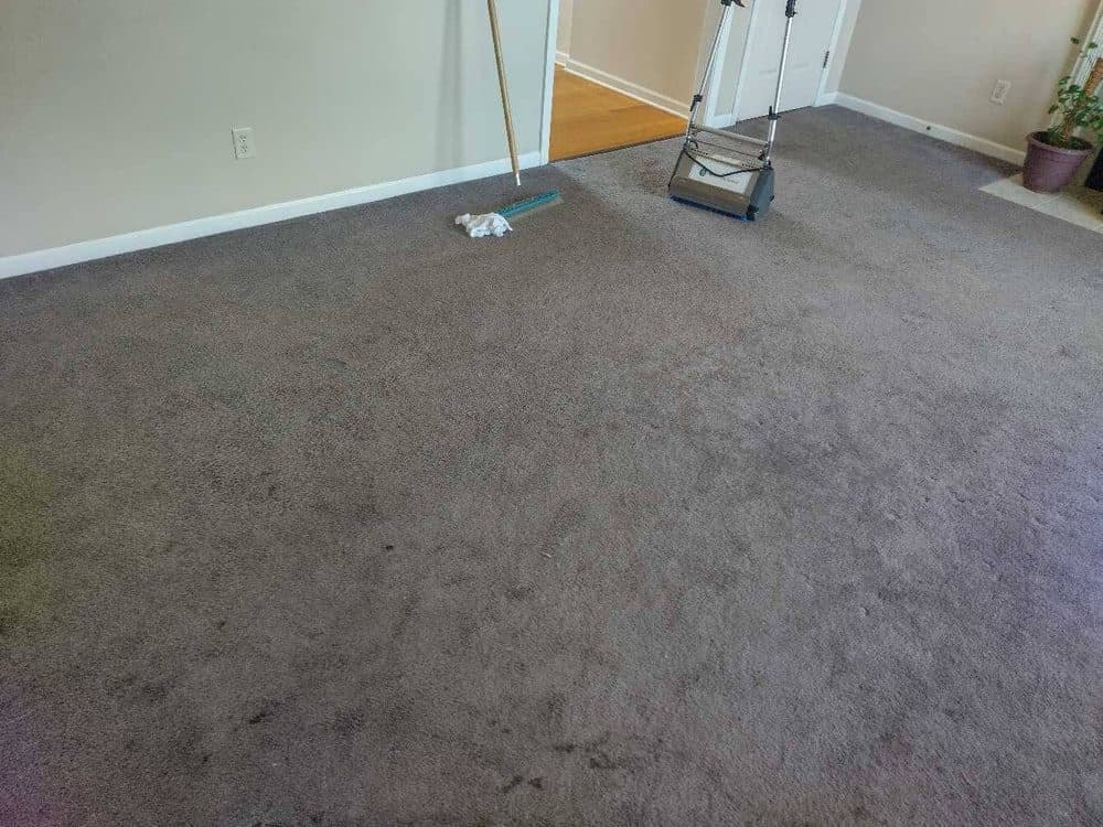 Carpet Cleaning San Juan LLC recent job 3
