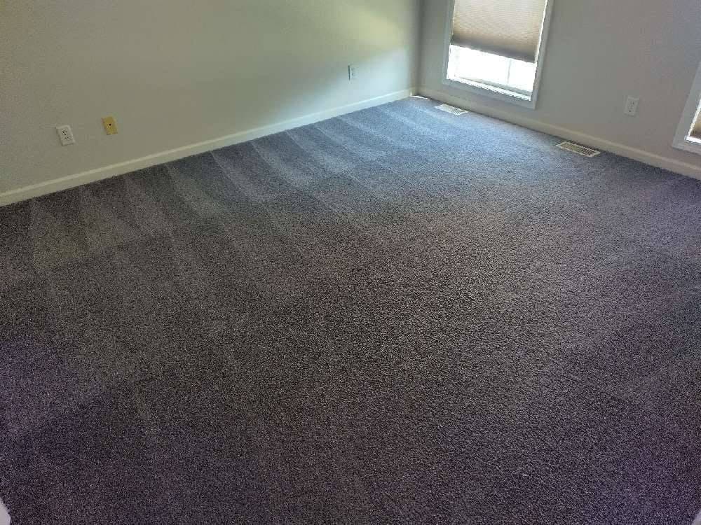 Carpet Cleaning San Juan LLC recent job 4