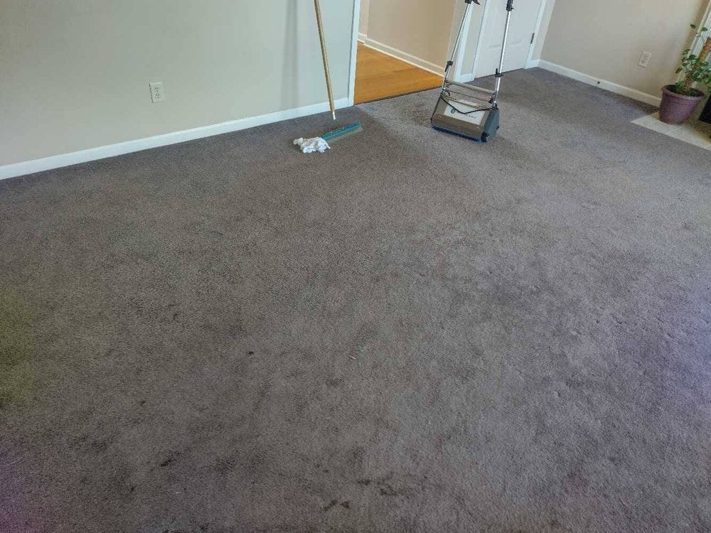 Carpet cleaning equipment staged beside grey carpet during a San Juan job