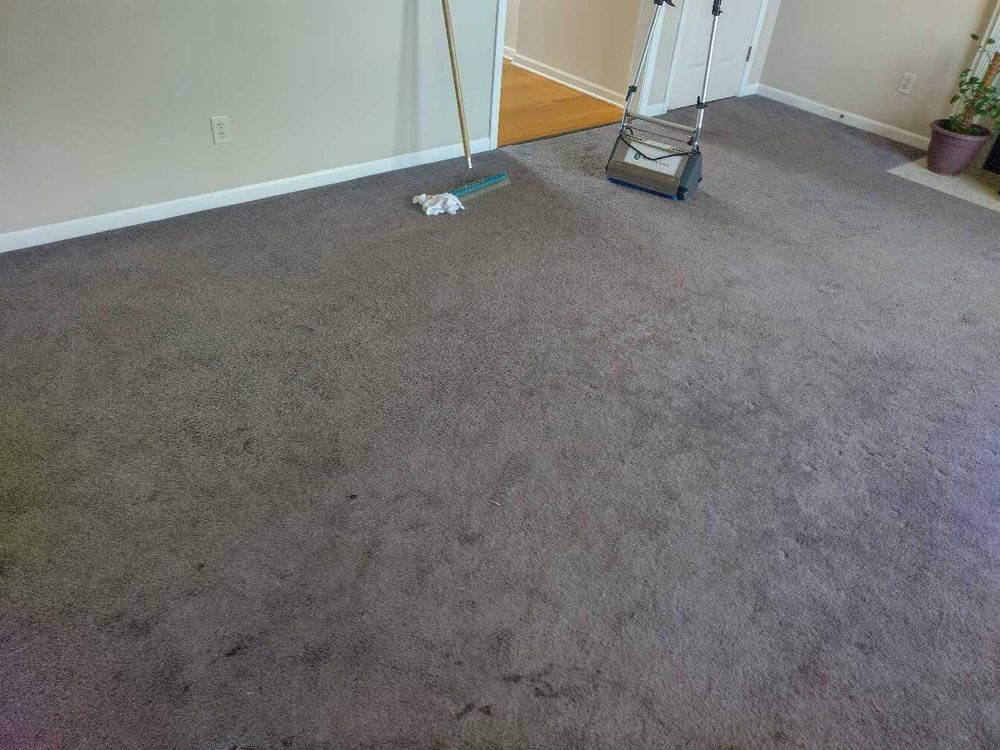 Carpet Cleaning San Juan LLC recent job 3